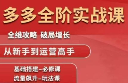 大炮·拼多多全阶实战课程(更新10月)-景枢聚合