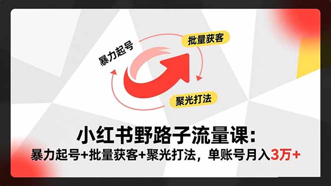 小红书野路子流量课:暴力起号+批量获客+聚光打法,单账号月入3万+-景枢聚合