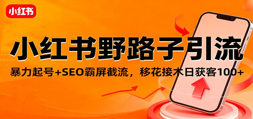 小红书野路子引流，暴力起号+SEO霸屏截流，移花接木日获客100+-景枢聚合