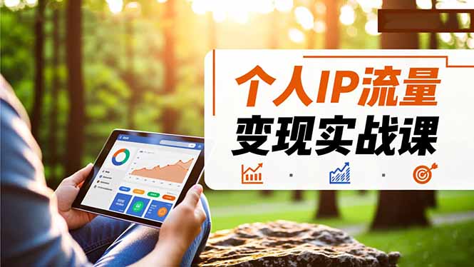 个人IP流量变现实战课，涵盖多平台引流、打造个人IP并实现稳定流量变现-景枢聚合
