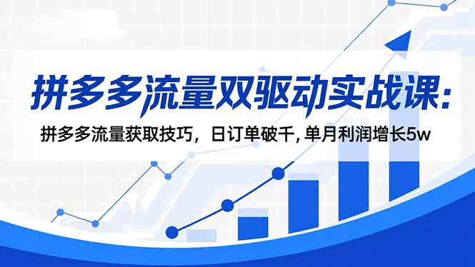 拼多多流量双驱动实战课：拼多多流量获取技巧，日订单破千,单月利润增长5w-景枢聚合