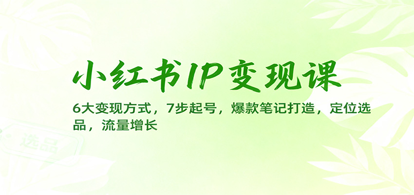 小红书IP变现课：6大变现方式，7步起号，爆款笔记打造，定位选品，流量增长-景枢聚合